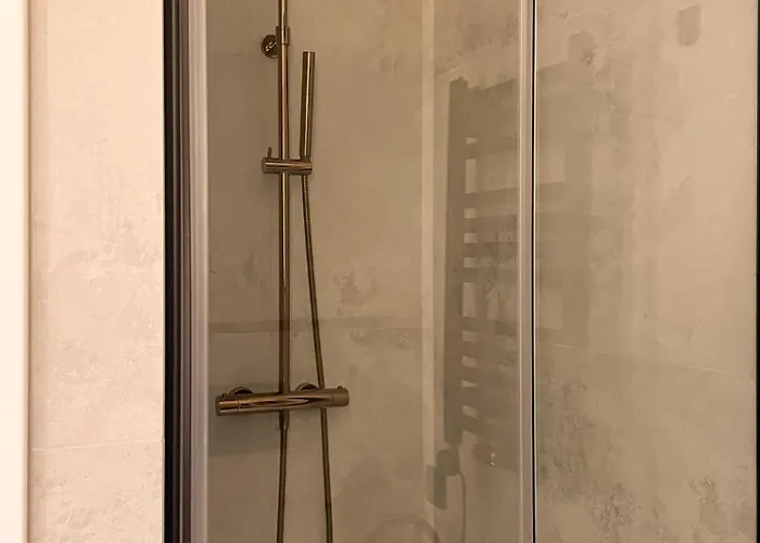 Apartment Visiting - Leszczynskiego